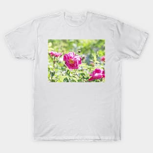 Busy Bee and Flower T-Shirt